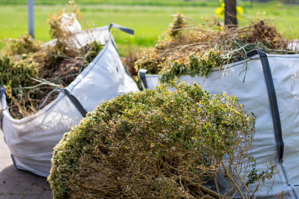 Best Commercial Cleanout Services  in Hanover, IN