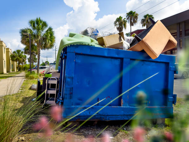 Best Professional Junk Removal  in Hanover, IN