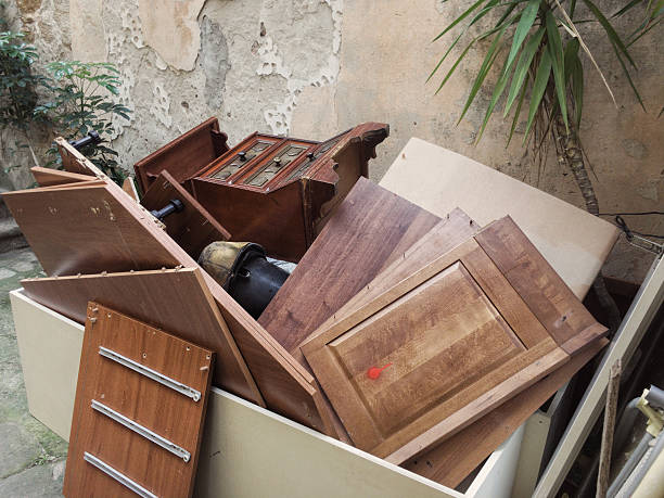 Best Yard Waste Removal  in Hanover, IN